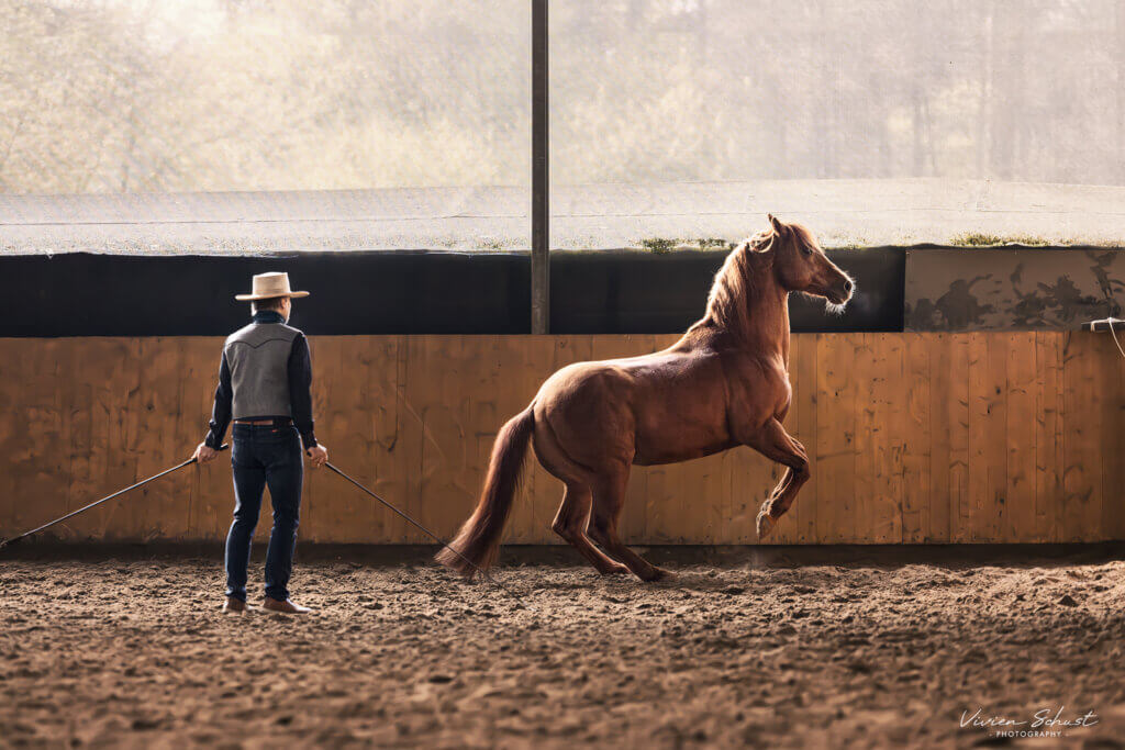 Ernst-Peter Frey mit Pferd in der Reithalle